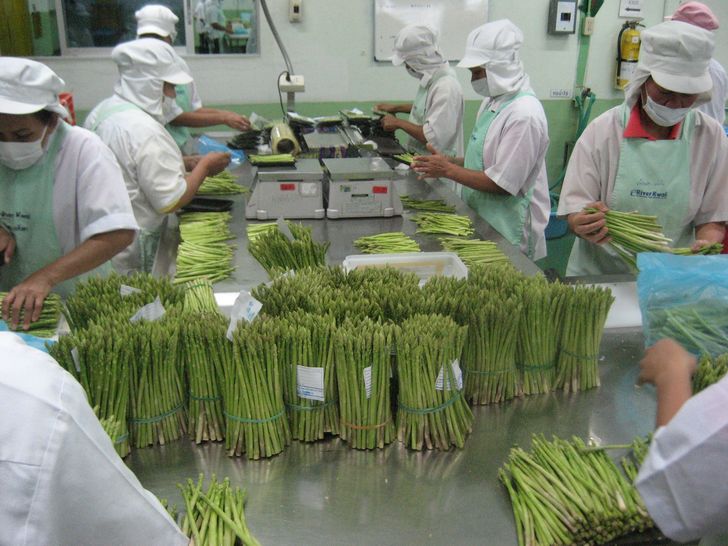 Baby green asparagus